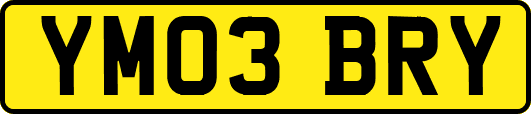 YM03BRY