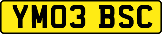 YM03BSC
