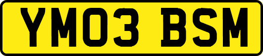 YM03BSM