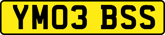 YM03BSS