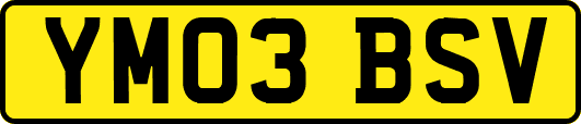 YM03BSV