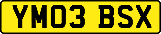 YM03BSX