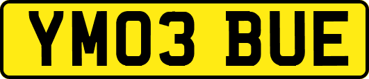 YM03BUE