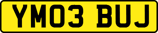 YM03BUJ