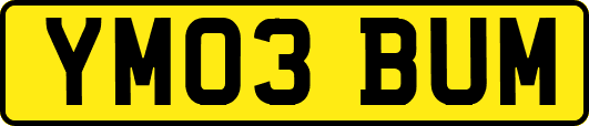 YM03BUM