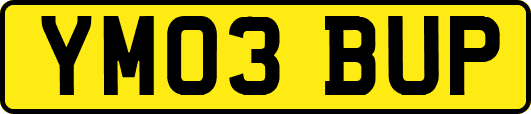 YM03BUP
