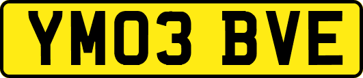 YM03BVE