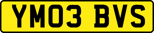 YM03BVS