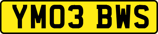 YM03BWS