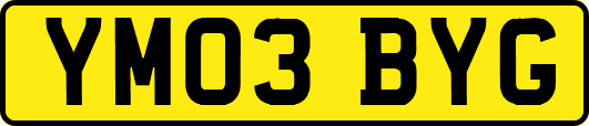 YM03BYG
