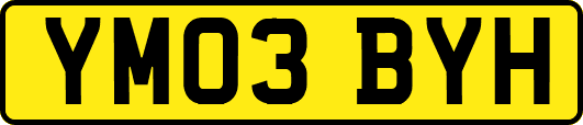 YM03BYH