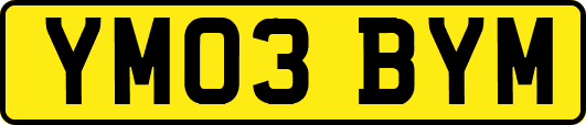 YM03BYM