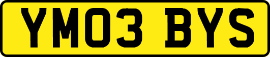 YM03BYS