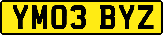 YM03BYZ