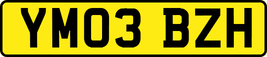 YM03BZH