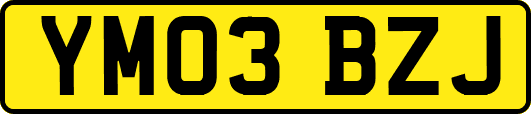 YM03BZJ