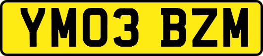 YM03BZM