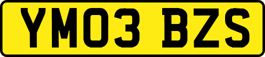 YM03BZS