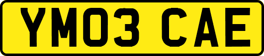 YM03CAE