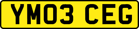 YM03CEG