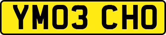 YM03CHO