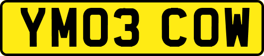 YM03COW