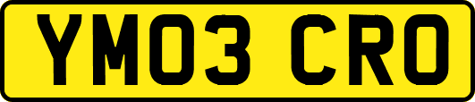 YM03CRO