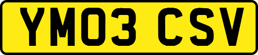 YM03CSV
