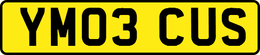YM03CUS