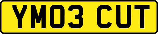 YM03CUT