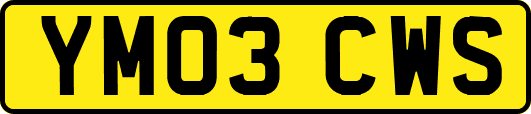 YM03CWS