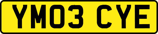 YM03CYE