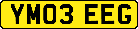 YM03EEG