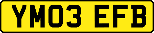 YM03EFB