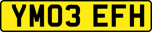 YM03EFH