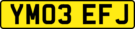 YM03EFJ