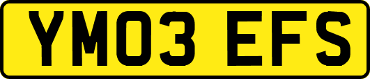 YM03EFS