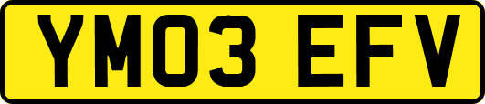YM03EFV
