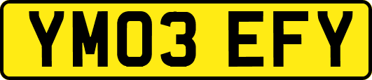 YM03EFY