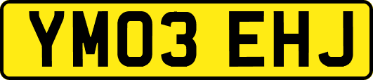 YM03EHJ
