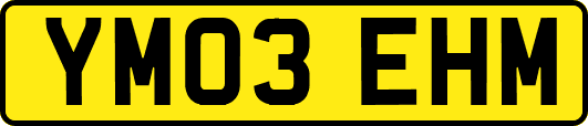YM03EHM