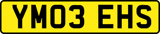 YM03EHS