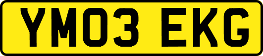 YM03EKG