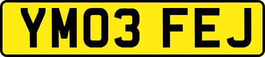 YM03FEJ