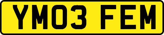 YM03FEM