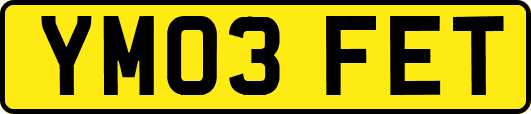 YM03FET