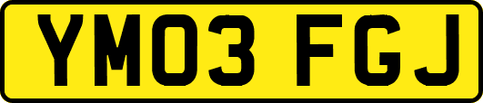 YM03FGJ