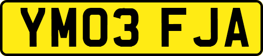 YM03FJA