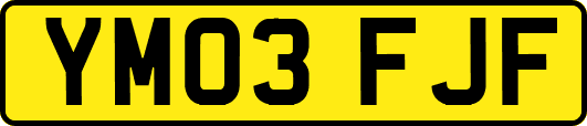 YM03FJF