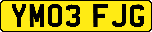 YM03FJG